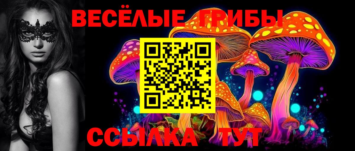 Галлюциногенные грибы Magic Shrooms  Псилоцибиновые грибы прущие грибы  Вход с VPN  Первоуральск 